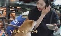 娱乐八卦视频哪里看 最新爆料,最新爆料视频汇总，独家解读明星动态！”